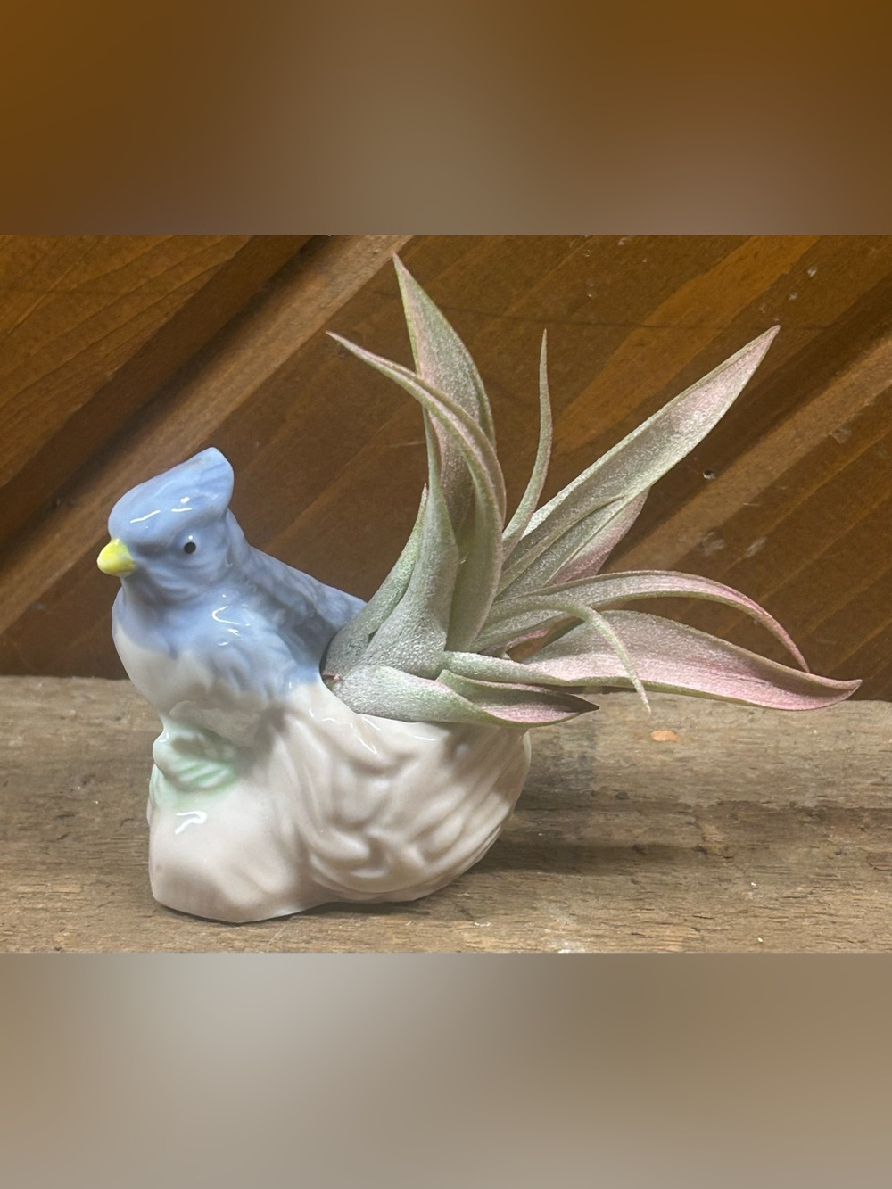 Vintage Blue Bird Porcelain Toothpick Holder/Planter